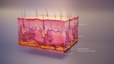 صورة دور الجلد والأمعاء في الإحساس بالألم