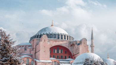 صورة THE INTERNATIONAL CONFERENCE OF THE SCIENTIFIC MIRACLES IN THE QUR’AN AND SUNNAH IN ISTANBUL/ TURKEY